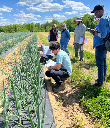 Researches on field