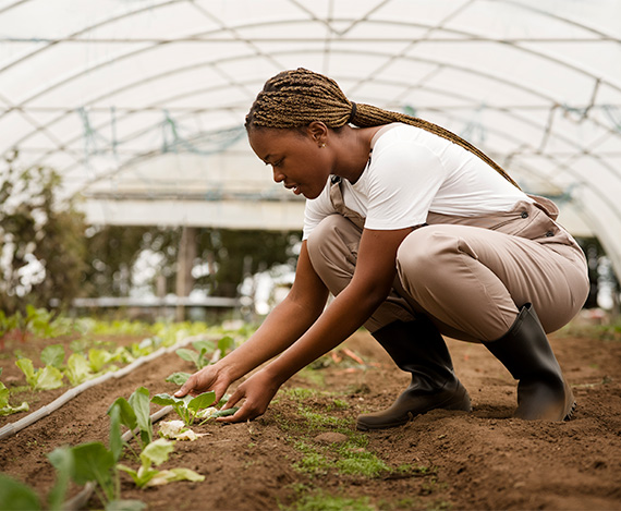 Farmer planting